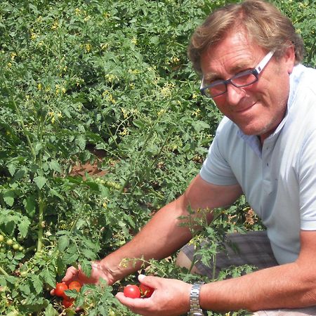 Azienda Agrituristica Baglio Carta Balestrate Kültér fotó