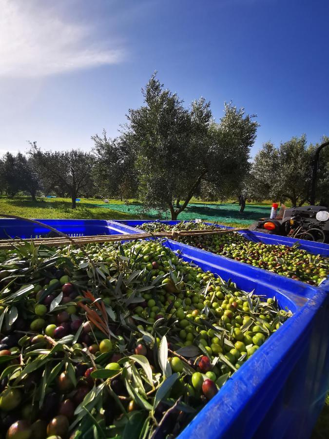 Azienda Agrituristica Baglio Carta Balestrate Kültér fotó