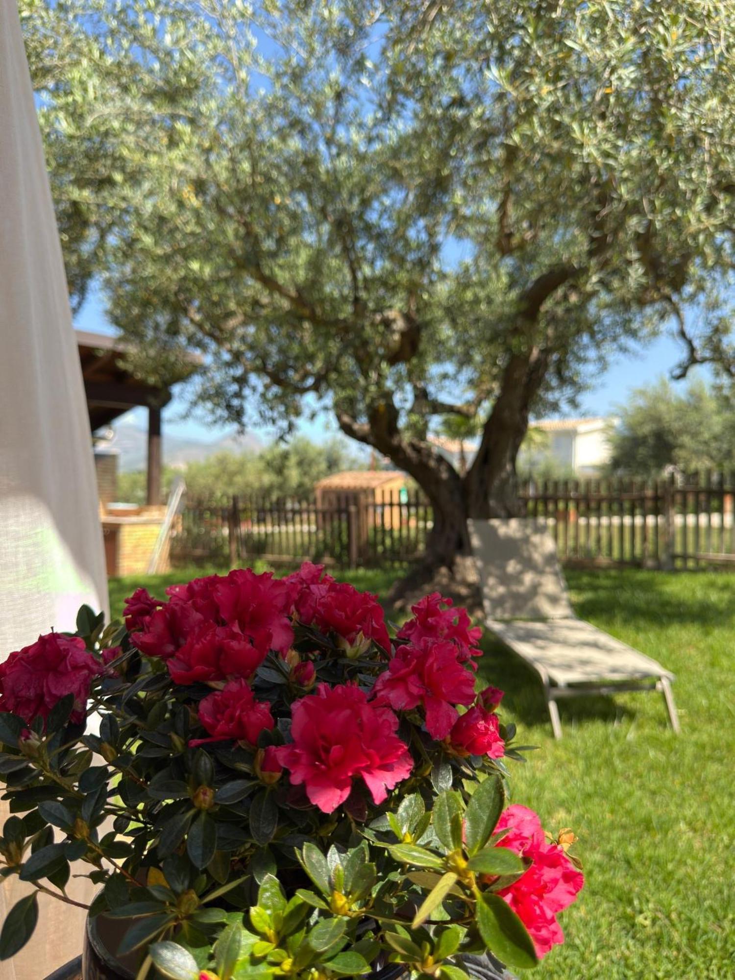 Azienda Agrituristica Baglio Carta Balestrate Kültér fotó