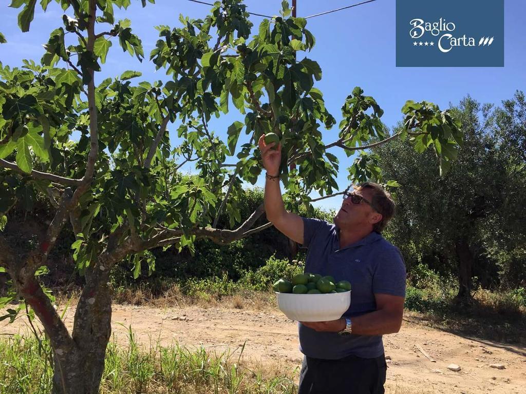 Azienda Agrituristica Baglio Carta Balestrate Kültér fotó
